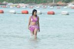 Payal Ghosh (Harika) in Bikini Swimwear Photoshoot on 30th May 2010 (107).JPG